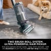 Shark PowerDetect Powered Lift-Away Upright Pet Vacuum Cleaner AZ3900UKT